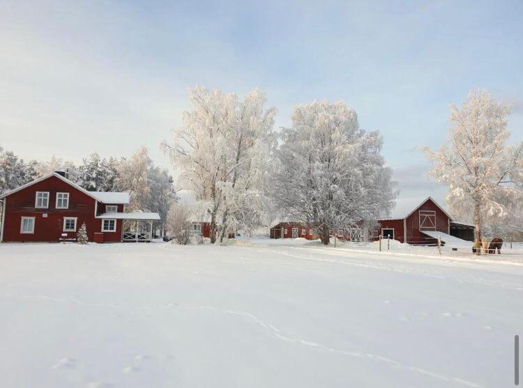 Hus I Ljuset Vila Näsåker Exterior foto